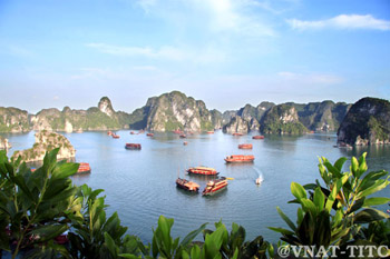 Impressions du tourisme du Vietnam en 2013