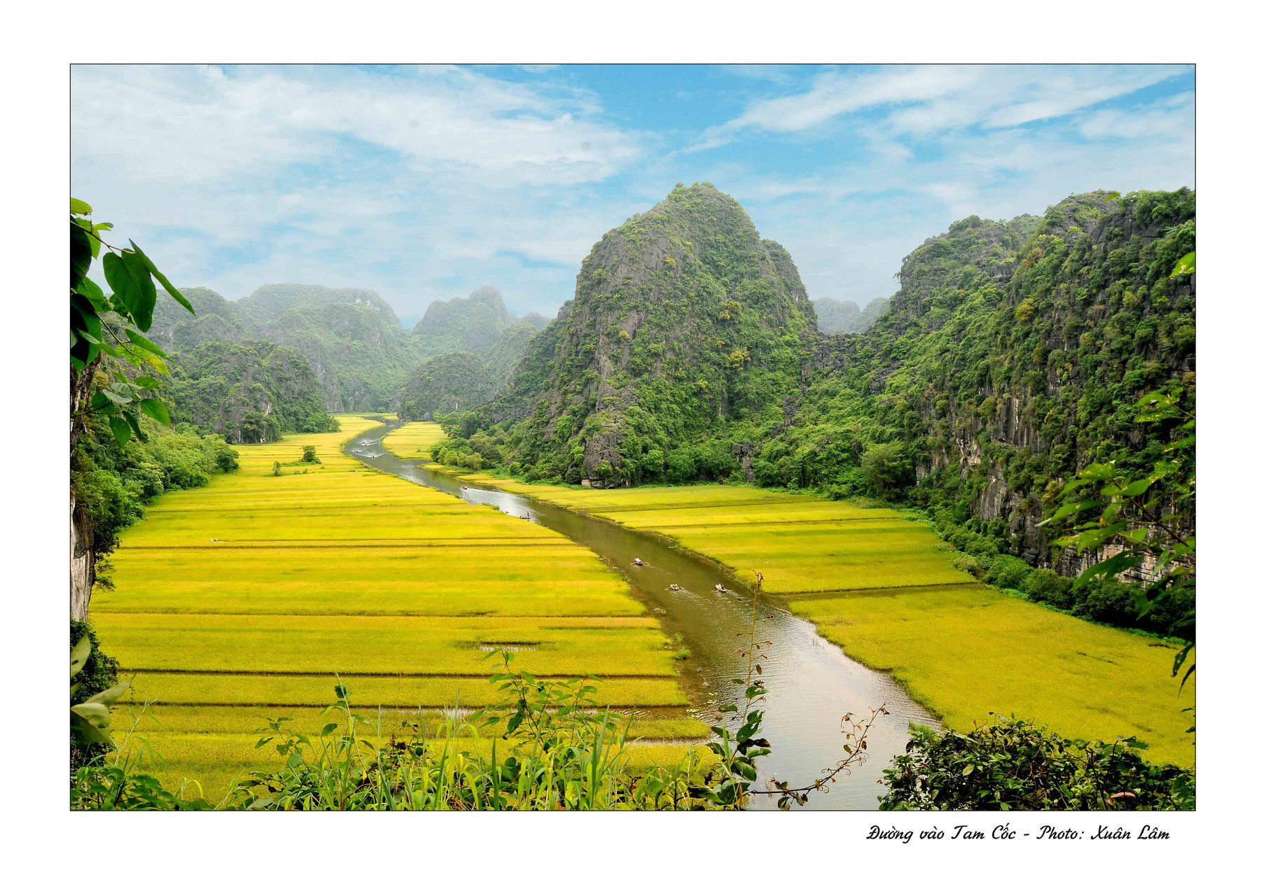 Tam Coc – Bich Dong lors de la saison de récolte du riz - Les magnifiques tableaux naturels