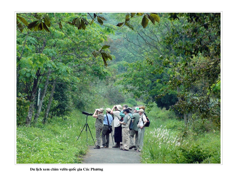 Voyager à Ninh Binh en printemps