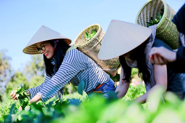 Sản phẩm của du lịch nông thôn