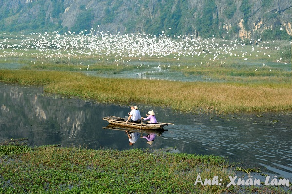 Vân Long – Khu bảo tồn thiên nhiên đất ngập nước lớn nhất vùng đồng bằng châu thổ sông Hồng
