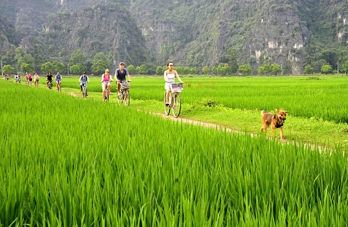 Phát triển du lịch nông nghiệp, nông thôn theo hướng “Thuận thiên”