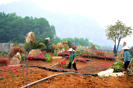 Ngành Du lịch Ninh Bình sẵn sàng đón khách trong dịp Tết