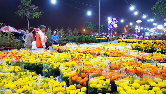 Hội chợ hoa Xuân thành phố Ninh Bình