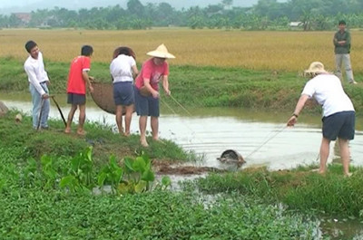 Gia Vân khai thác tiềm năng du lịch góp phần phát triển kinh tế - xã hội