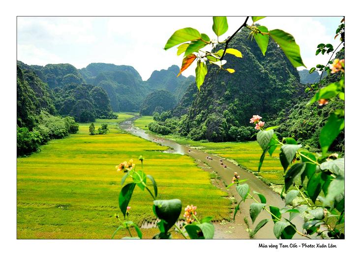 Đắm chìm trong bức tranh “Sắc vàng Tam Cốc – Tràng An”