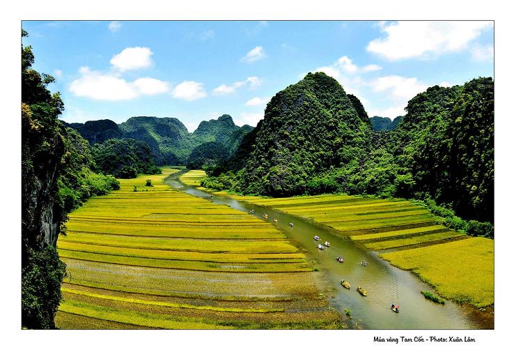 Mùa vàng trên Cố đô Hoa Lư