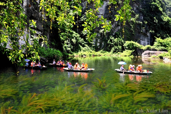Tạp chí The Travel có trụ sở tại Canada đã công bố danh sách top 10 điểm du lịch hấp dẫn nhất Việt Nam mà du khách không nên bỏ qua, trong đó có Ninh Bình.